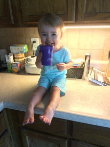Someone figured out that my breakfast smoothies are delicious, so I had to share. 